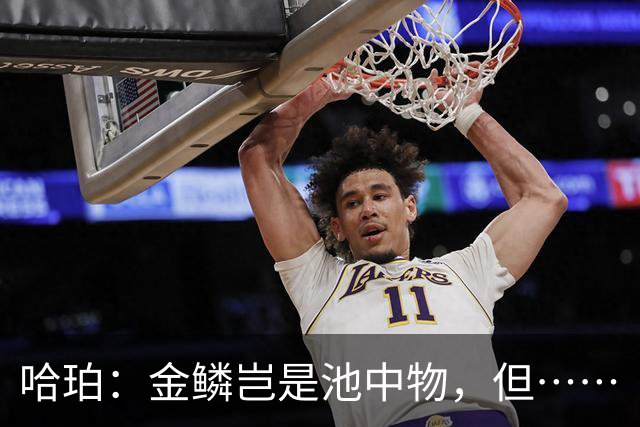 哈珀：金鳞岂是池中物，但……